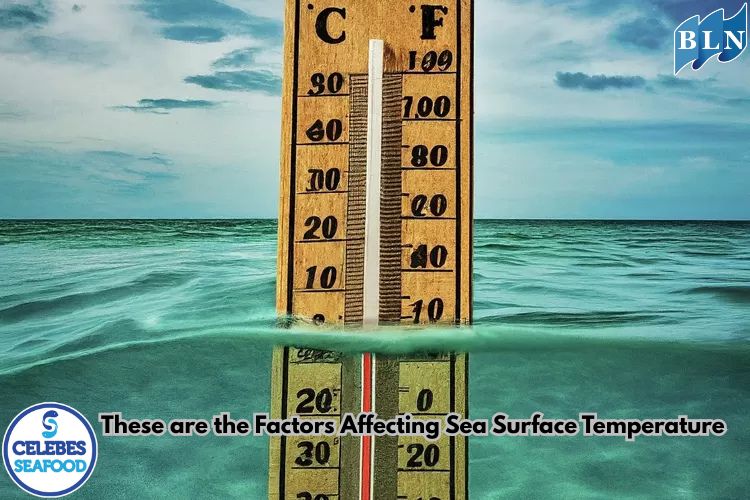 These are the Factors Affecting Sea Surface Temperature